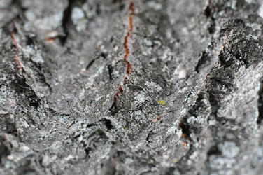 Similar image 800446