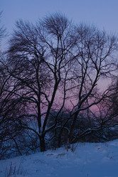 Similar image 800460