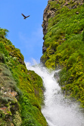 Similar image 800531