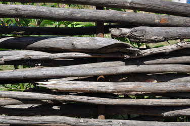 Similar image 800545