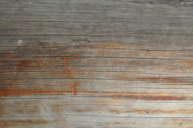 Similar image 800547