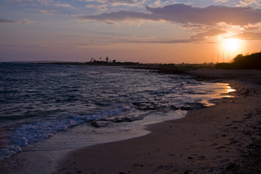 Similar image 800550