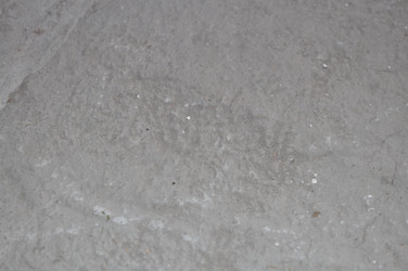 Similar image 800551