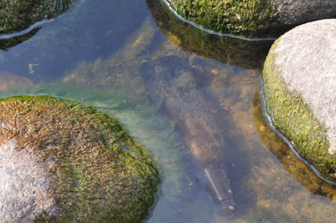 Similar image 800552