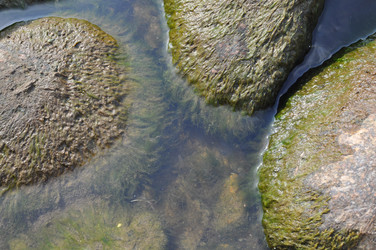 Similar image 800553