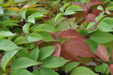 Similar image 800588