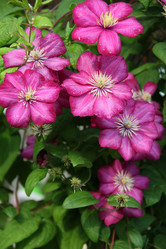 Similar image 800627