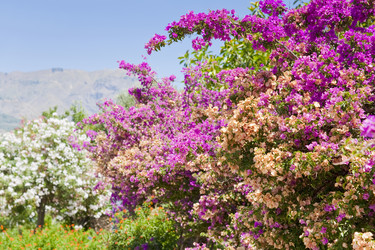 Similar image 800633