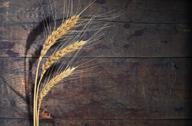 Similar image 800680