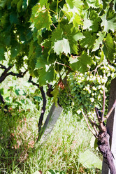 Similar image 800681