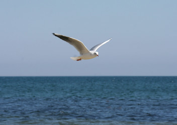 Similar image 800682