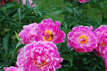 Similar image 800685