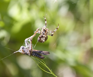 Similar image 800698