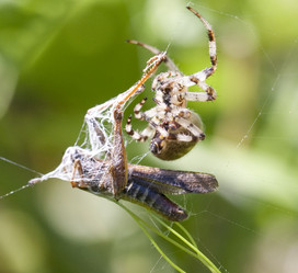 Similar image 800699