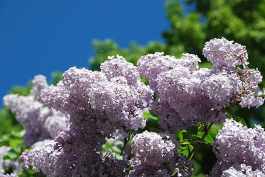 Similar image 800713