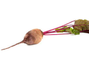 Similar image 800722