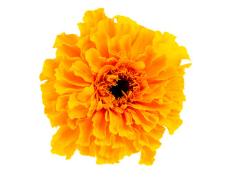 Similar image 800730