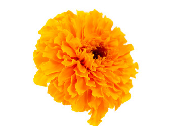 Similar image 800731