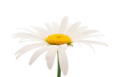 Similar image 800732