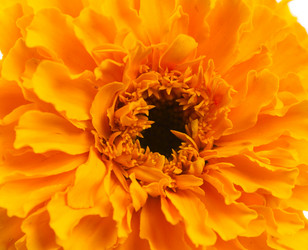 Similar image 800733