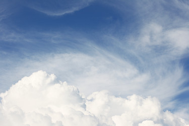 Similar image 800739