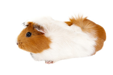 Similar image 800748