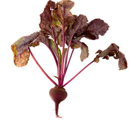 Similar image 800764