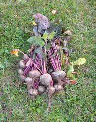 Similar image 800772