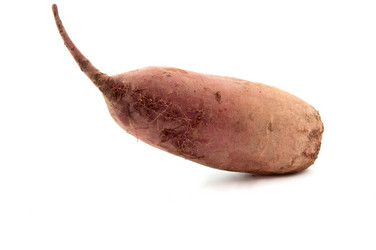 Similar image 800774