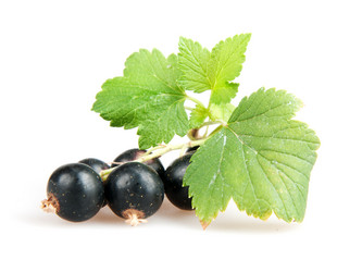 Similar image 800778