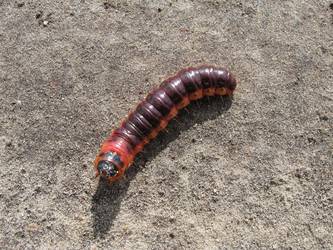 Similar image 800779