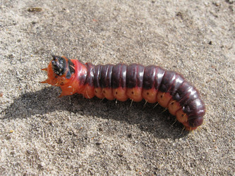 Similar image 800780