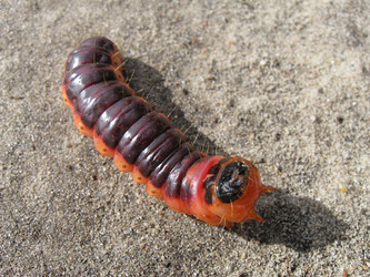 Similar image 800781