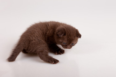 Similar image 800786