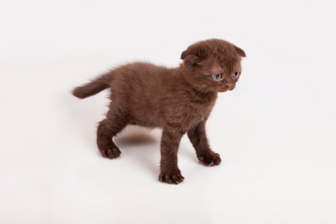 Similar image 800788