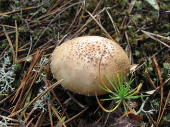 Similar image 800794