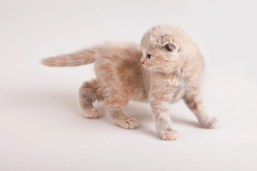 Similar image 800811