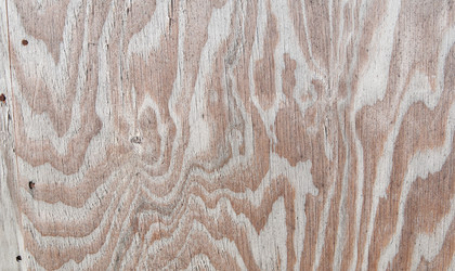 Similar image 800834