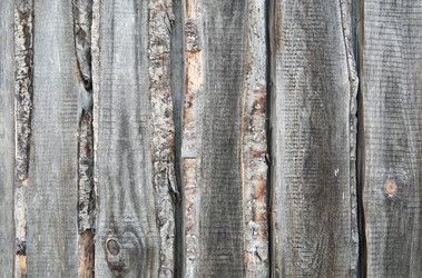 Similar image 800854