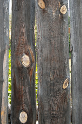 Similar image 800856