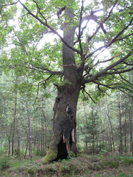 Similar image 800858