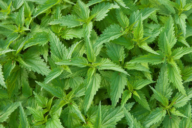 Similar image 800865