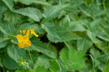 Similar image 800867