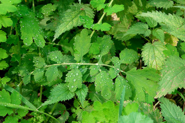 Similar image 800873