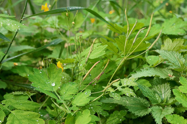 Similar image 800877