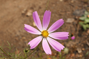 Similar image 800879