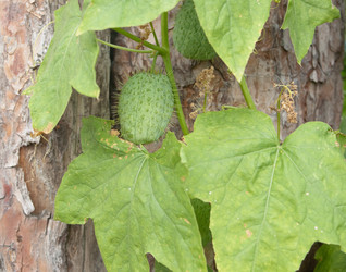 Similar image 800883