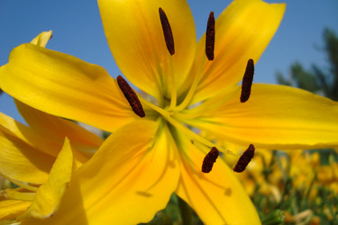 Similar image 800924