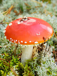 Similar image 800951