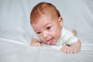 Similar image 800960